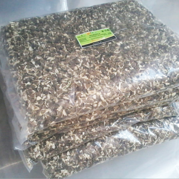 bulk moringa seed suppliers